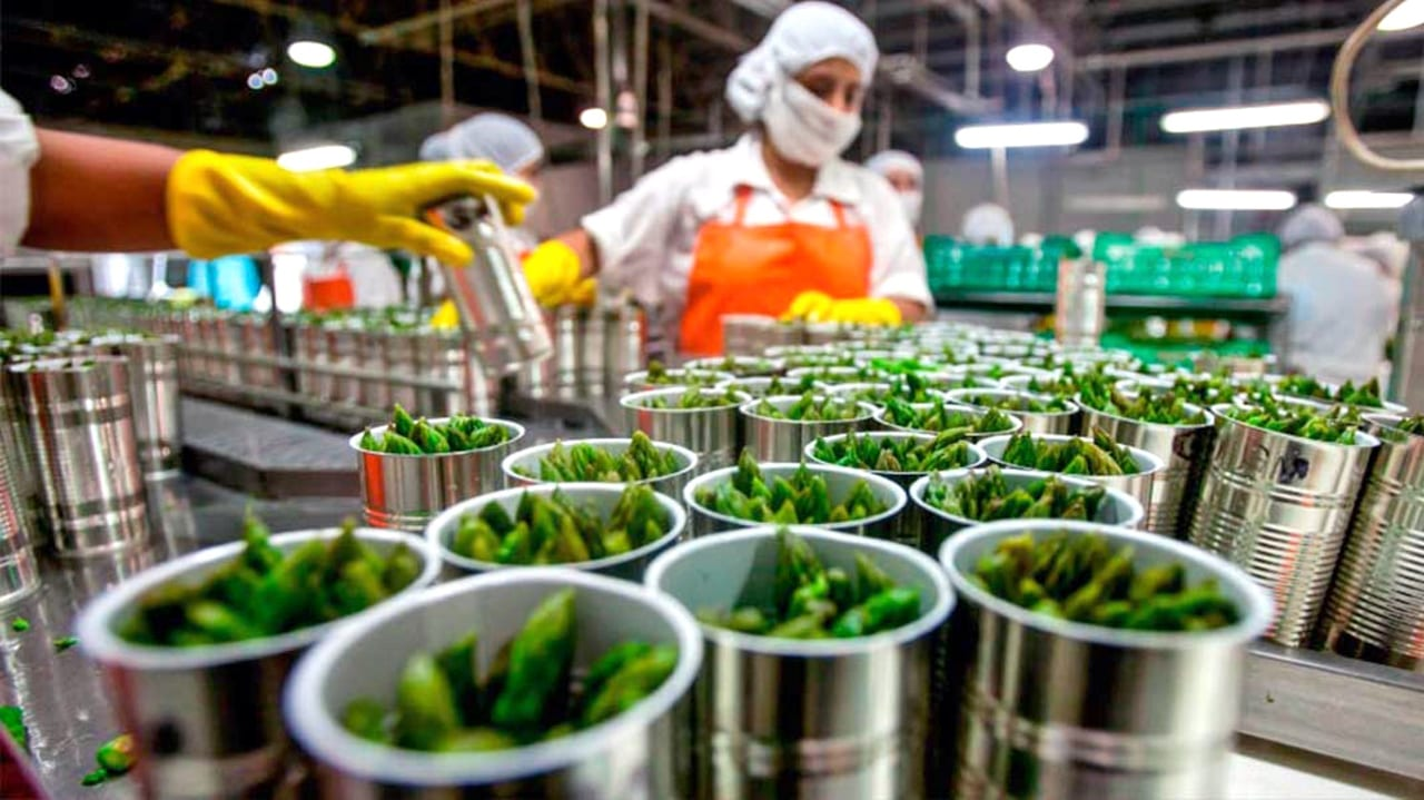 Empleo exportador creció 10% en Arequipa y se consolida a nivel nacional