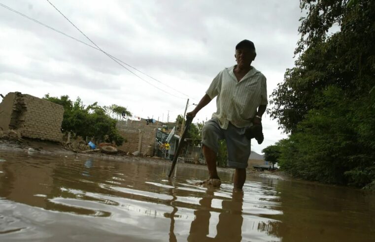 Amenaza desborde del río Pisco que  inundó más de 10 hectáreas de maíz