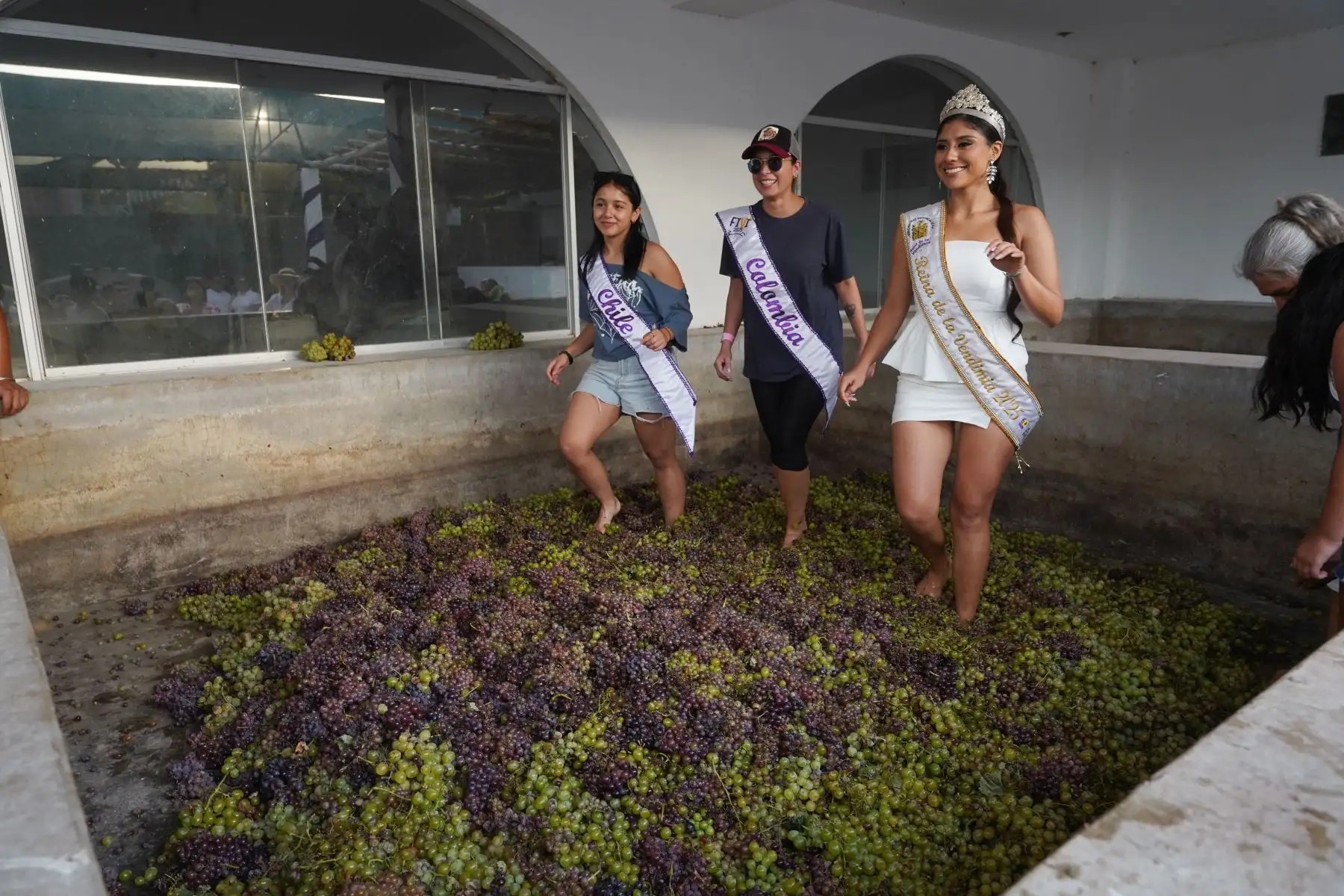 Vendimia: pisa de uva y destilación de pisco revaloran tradición vitivinícola