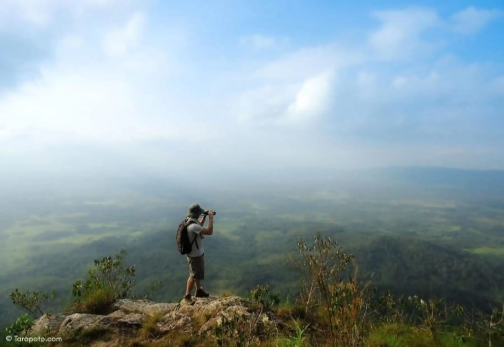 Se consolidan como regiones claves para atraer inversión empresarial extranjera