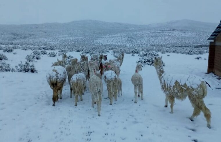 Cambio climático incrementa la frecuencia de eventos extremos a nivel nacional
