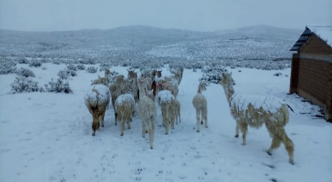 Cambio climático incrementa la frecuencia de eventos extremos a nivel nacional