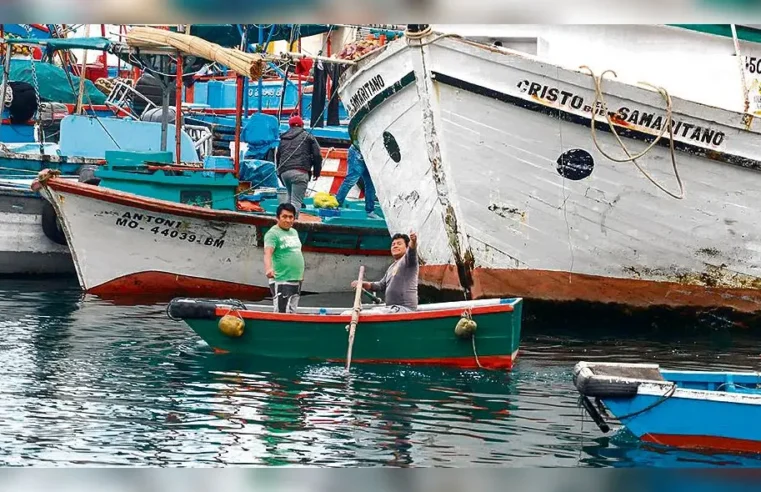 Pescadores artesanales denuncian incesante depredación del mar peruano