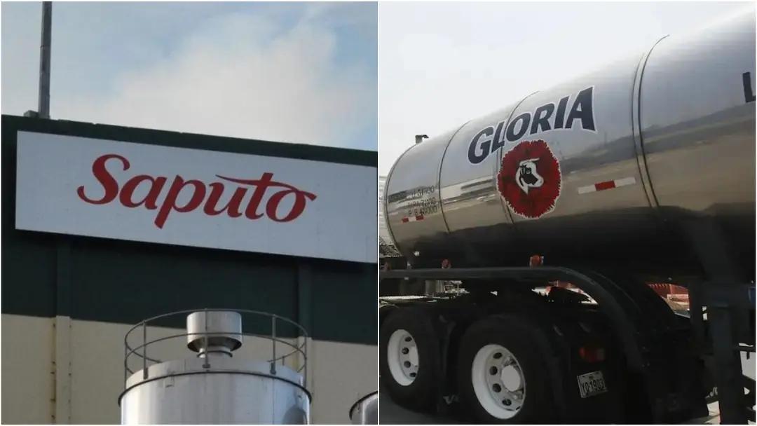 Gloria Foods anuncia la adquisición del 80% de Saputo Argentina