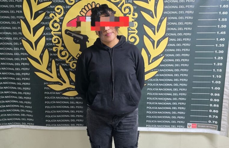 Capturan a pepera con ocho denuncias contra el patrimonio en Paucarpata