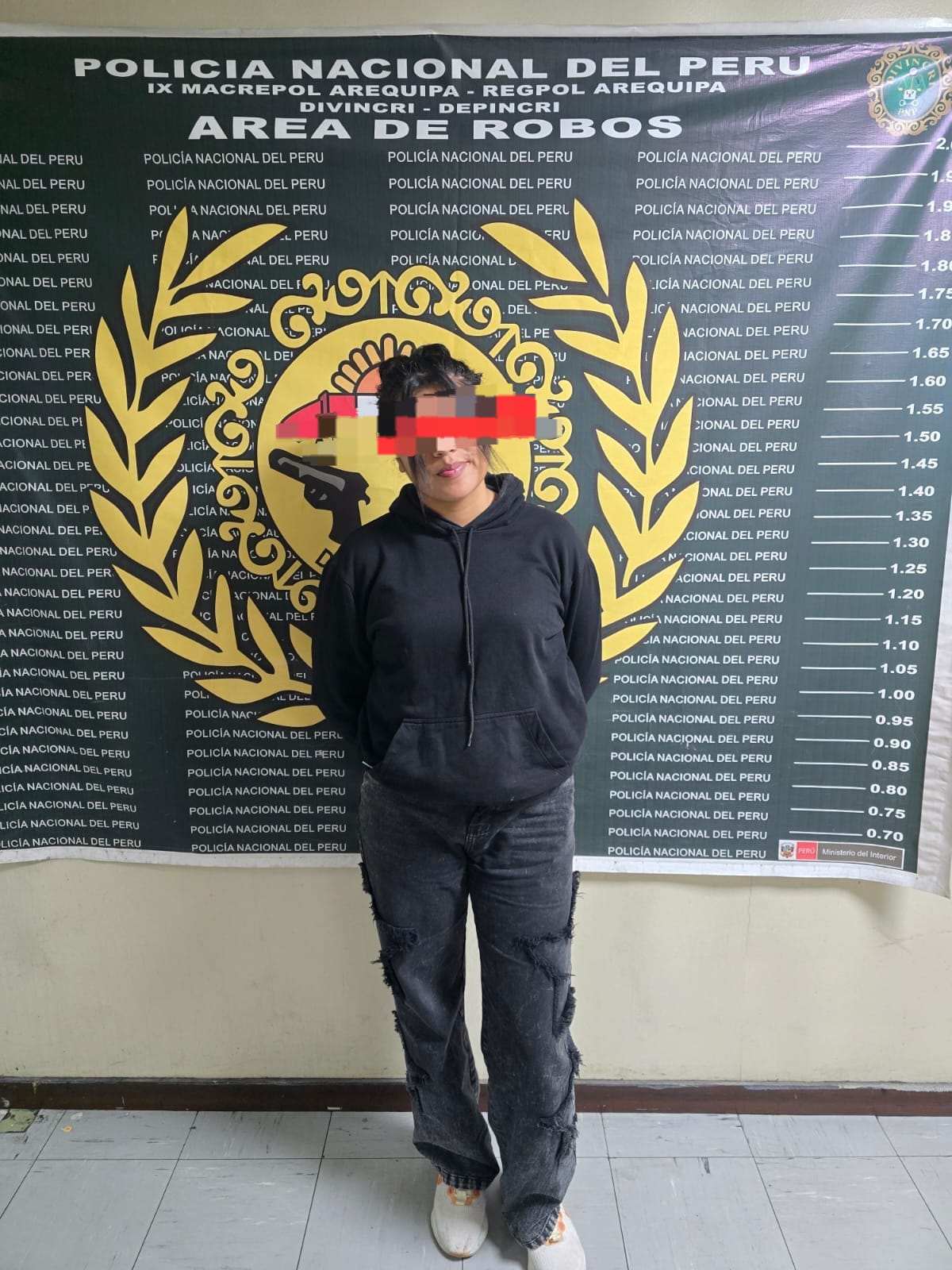 Capturan a pepera con ocho denuncias contra el patrimonio en Paucarpata