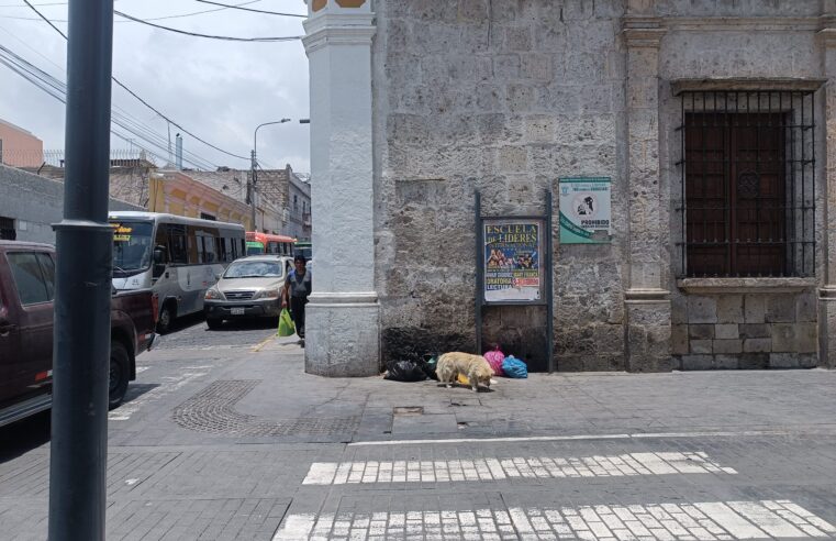 FOTO DE HOY MARTES 10 DE FEBRERO
