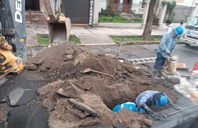 FOTO DE HOY SABADO 14 DE FEBRERO