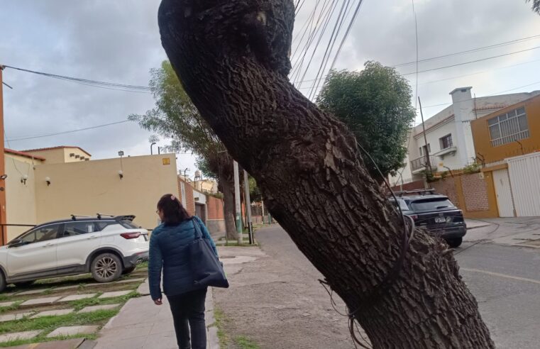 FOTO DE HOY JUEVES 26 DE FEBRERO