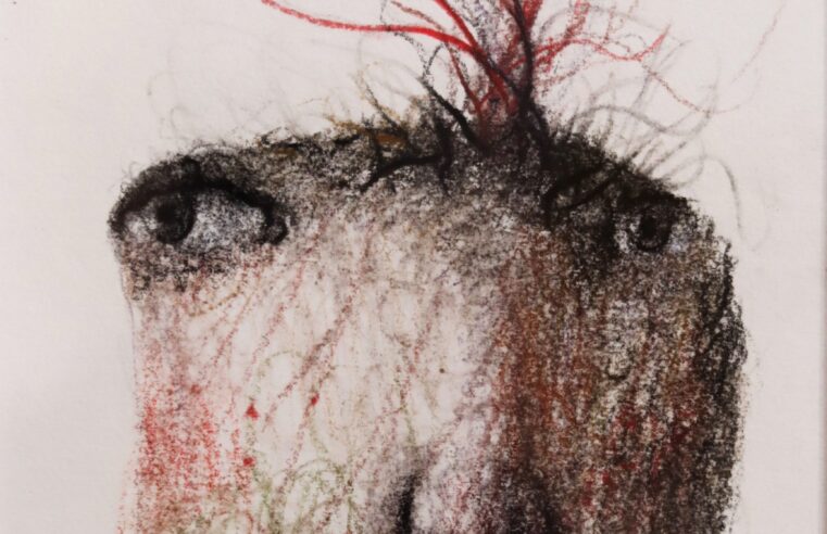 “LA TIERRA FLORECE”  DE PROYECTO AQUELARRE