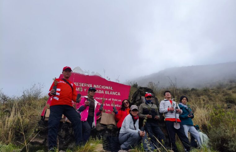 Andinistas siembran queñuales en las faldas del Misti