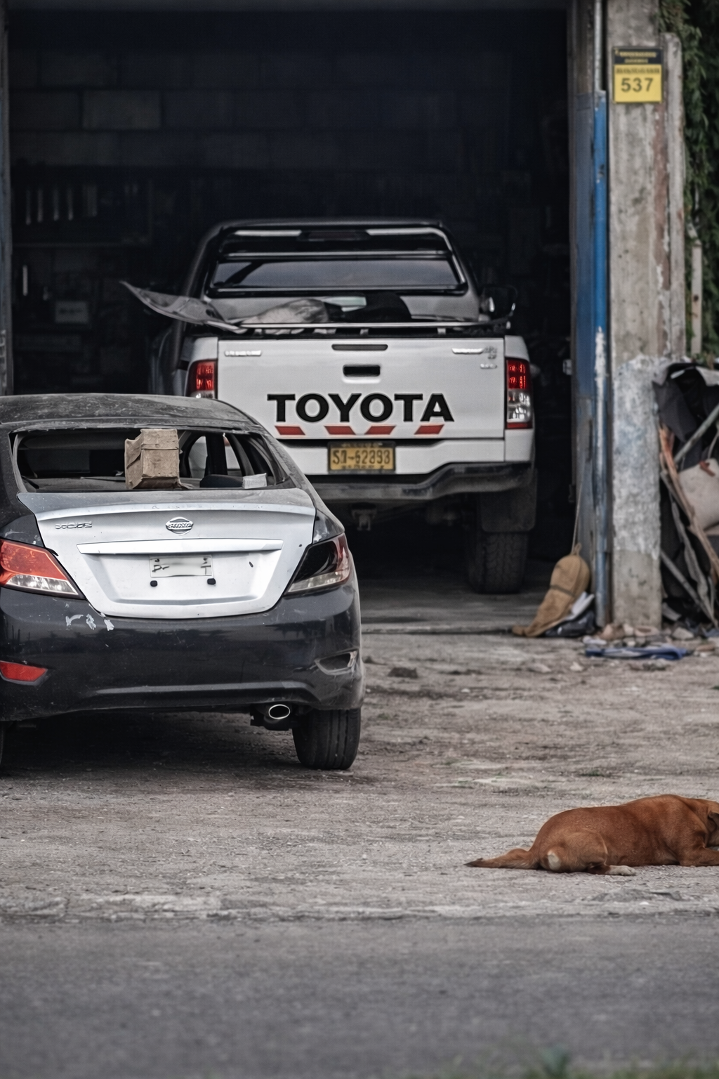 FOTO DE HOY DOMINGO 08 DE FEBRERO