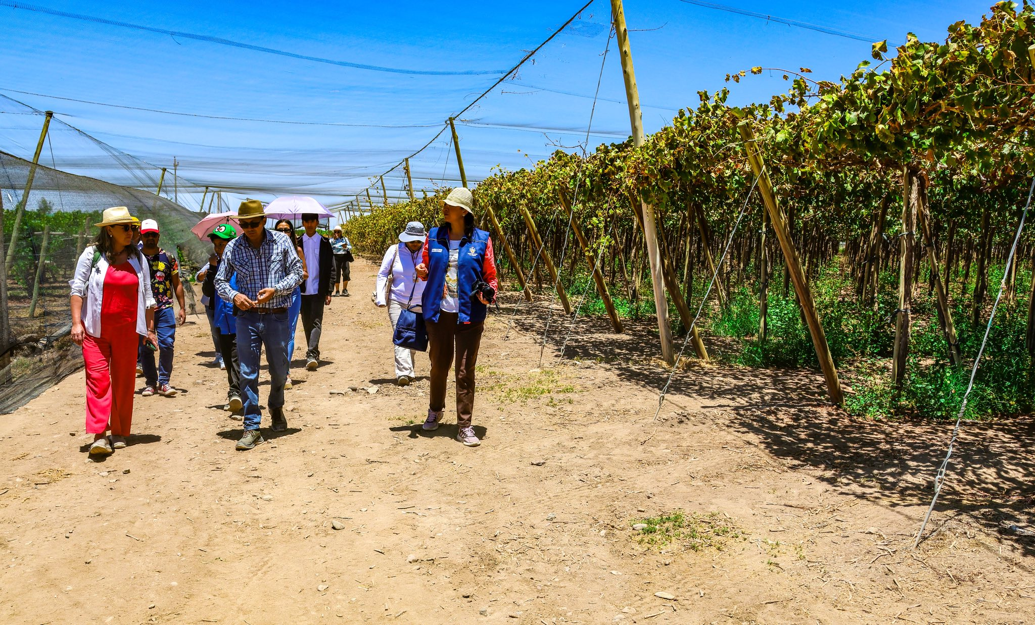 Arequipa se consolida como el tercer productor nacional