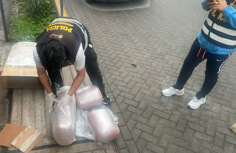 PNP desarticula banda “Las Gárgolas del Sur” con 30 kilos de marihuana.