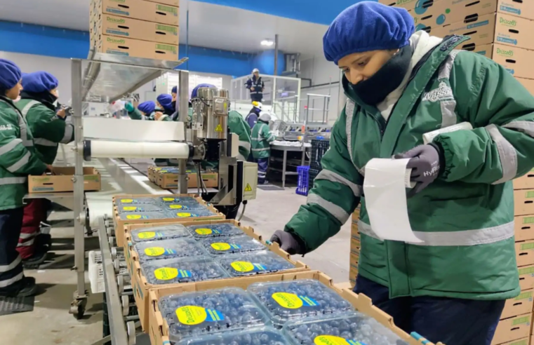 Aumentan empresas exportadoras peruanas en 2.3% en el 2025