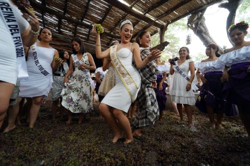 Celebran la XXIX Ruta de los Lagares: recorrido al corazón vitivinícola
