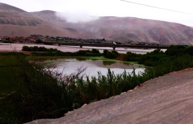 Crecida del río Ocoña golpea a productores de arroz en Camaná