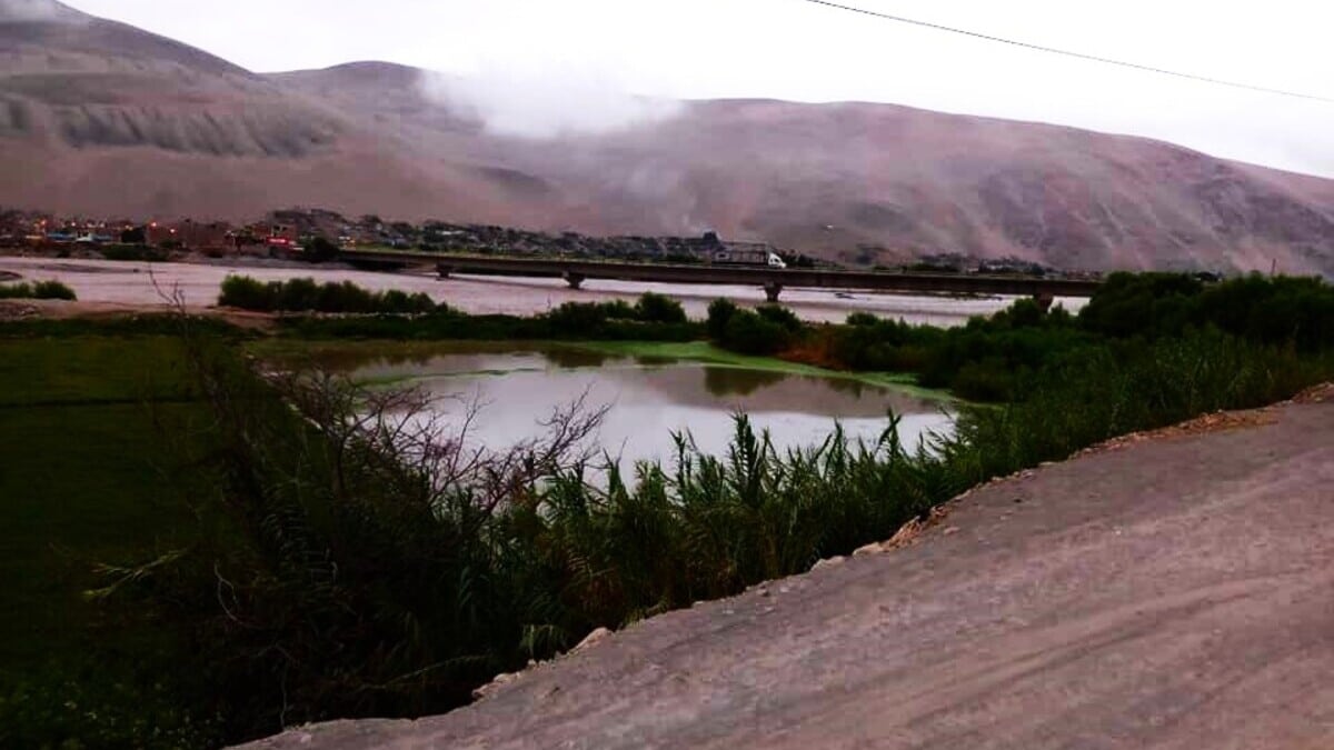 Crecida del río Ocoña golpea a productores de arroz en Camaná