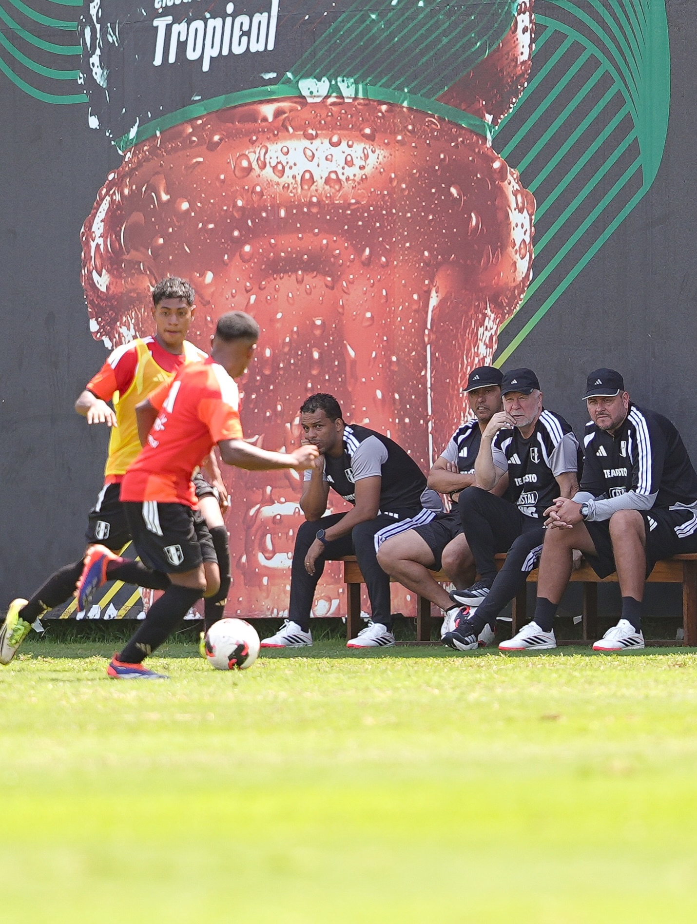 Selección peruana inicia un nuevo proceso con Mano Menezes