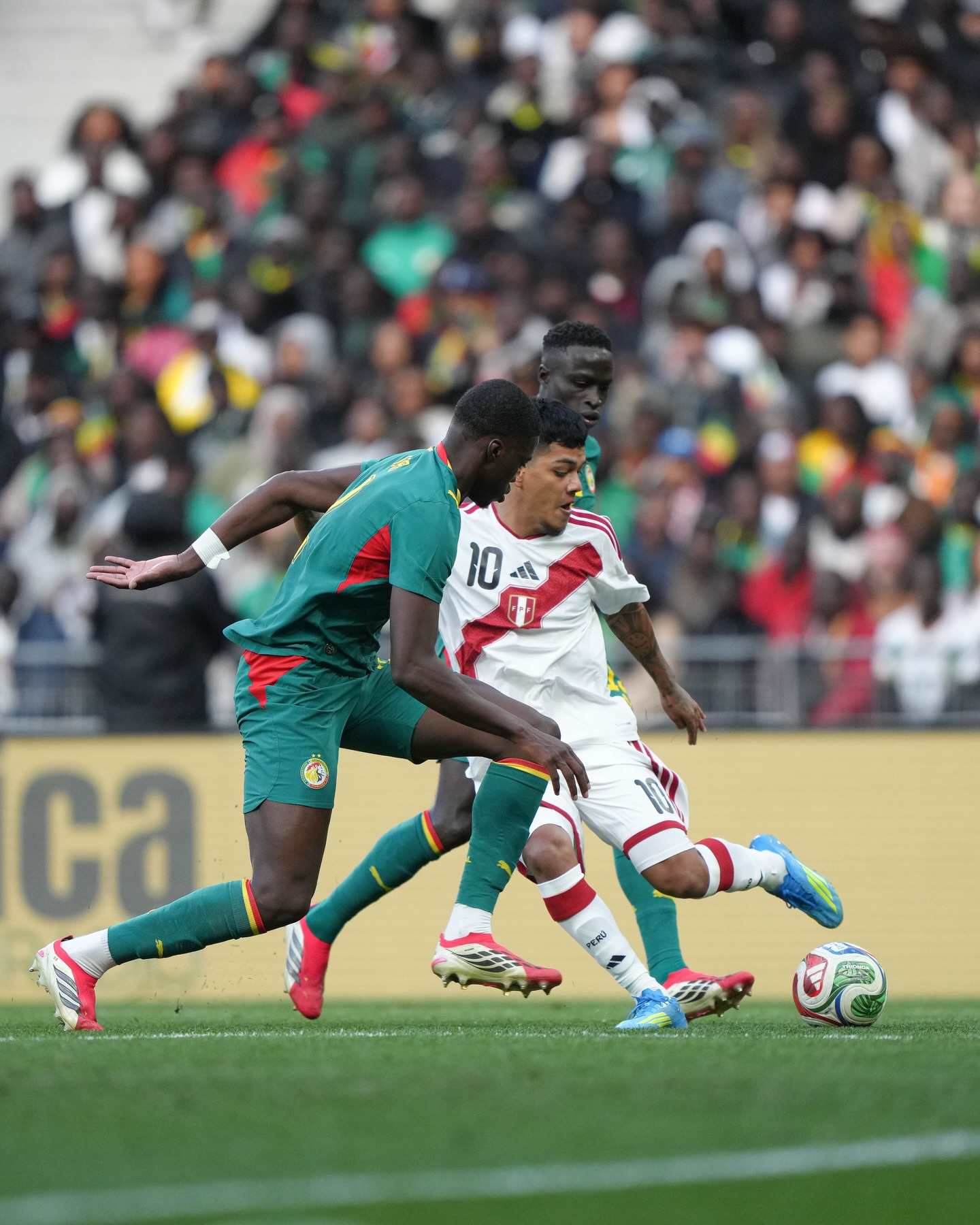 Perú perdió, pero hubo jugadores que sobresalieron