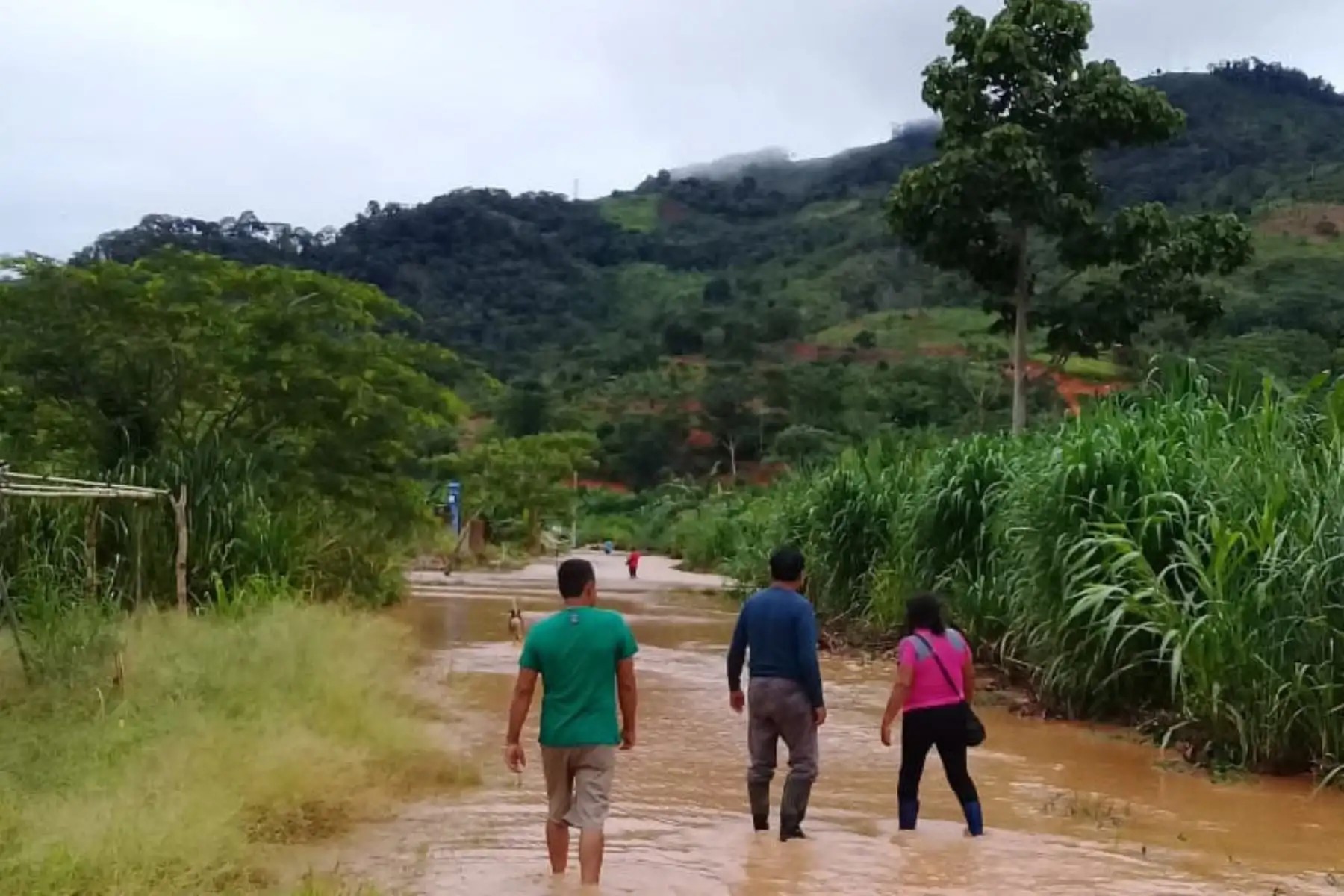 Lluvias intensas continuarán en la selva y sierra centro y sur