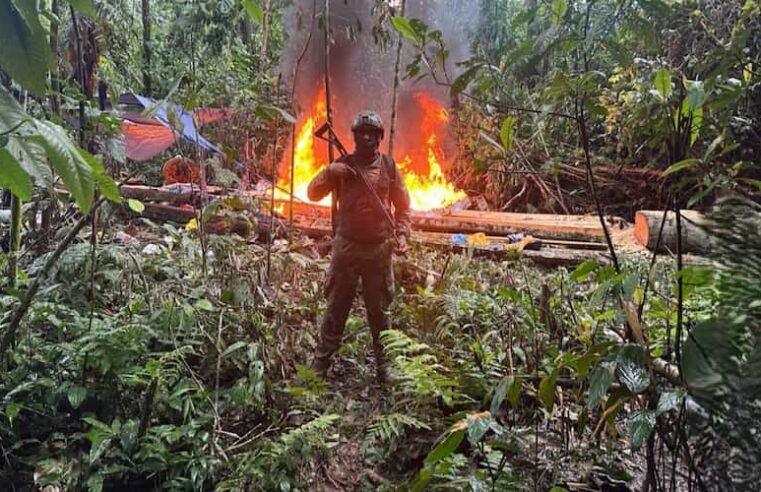 Operativo contra minería ilegal en Madre de Dios deja pérdidas por S/ 11 millones