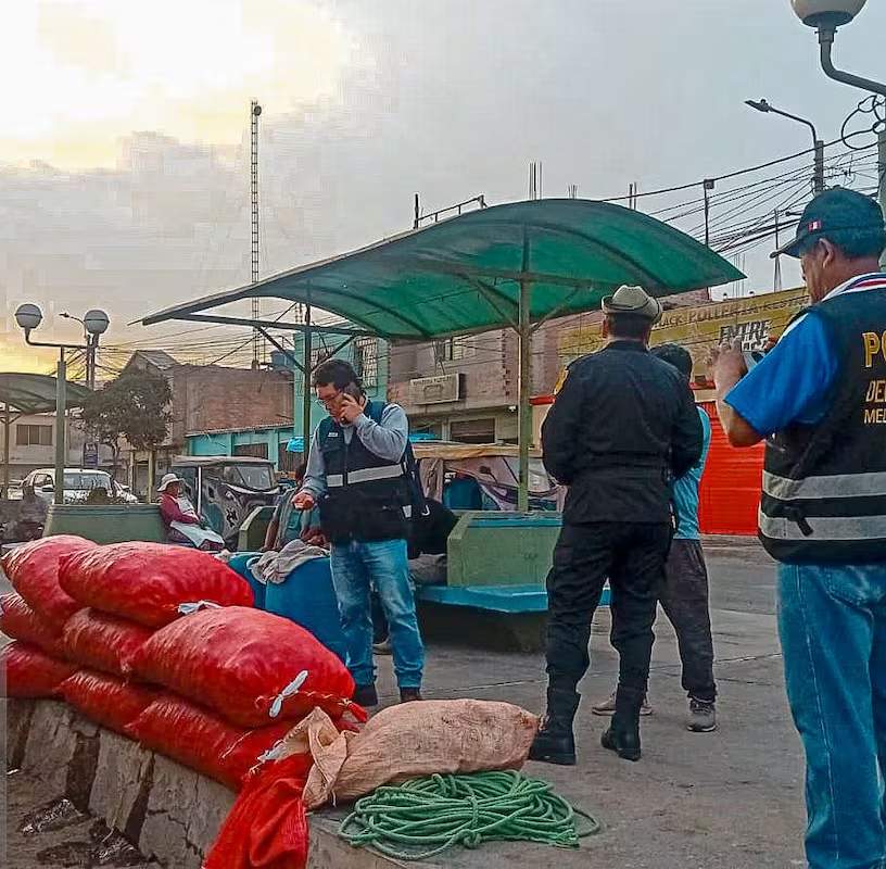 Decomisan 640 kilos de choro en operativo en la Panamericana Sur