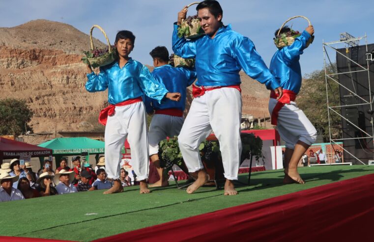 Población podrá desgustar vinos y cauche de cuy en el Festival de la Vendimia Vítor 2026