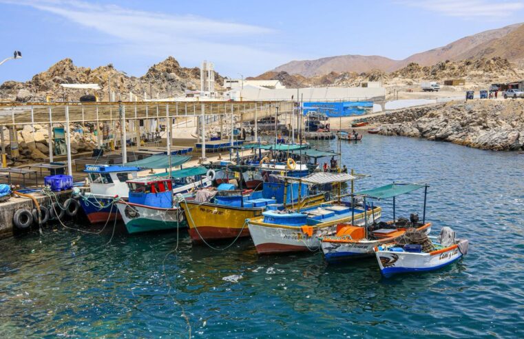 Fortalecen diálogo con pescadores artesanales