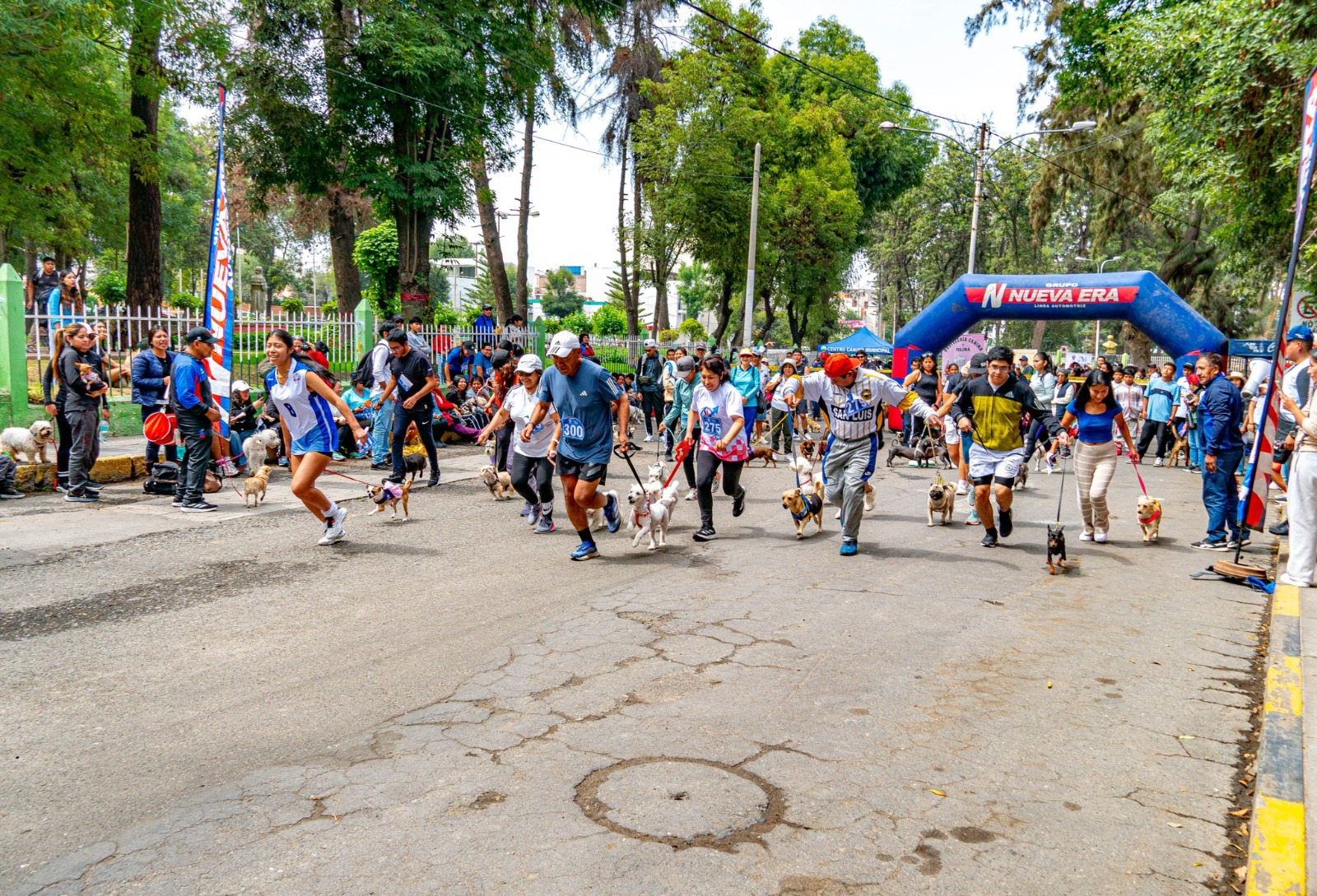 Alrededor de 250 mascotas participarán en maratón canina