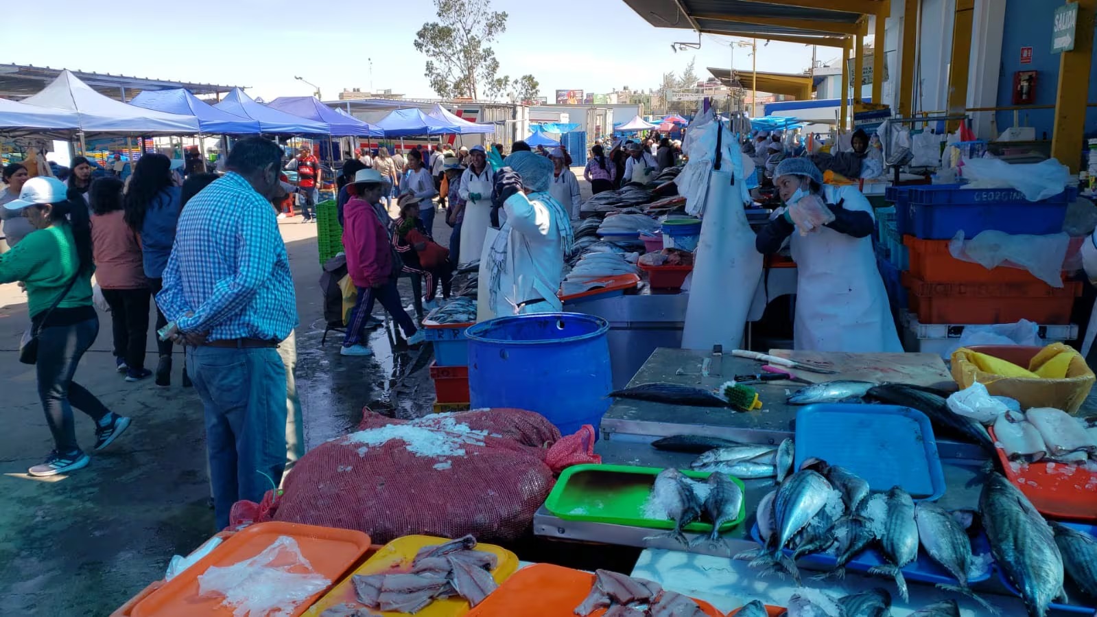 Río Seco recibirá más de 400 toneladas de productos por Semana Santa