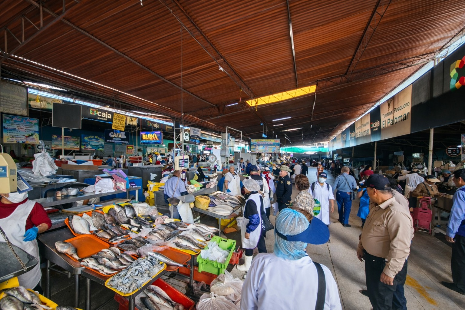 MPA aplica ocho sanciones en operativo a mariscos en El Palomar