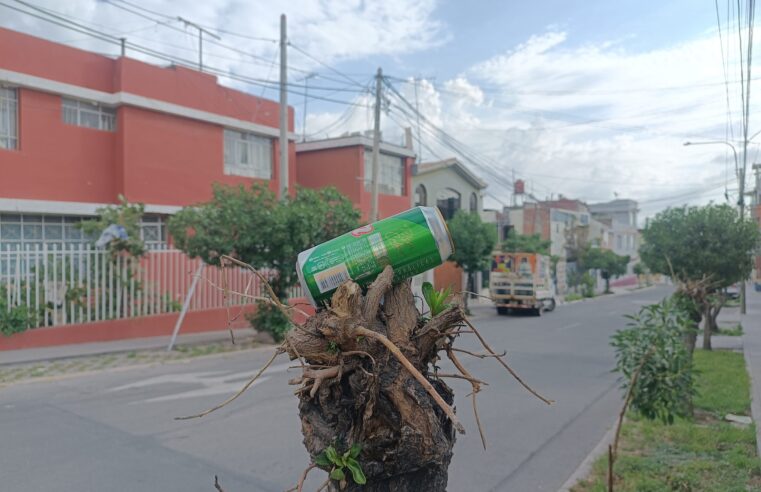 FOTO HOY DOMINGO 08 DE MARZO