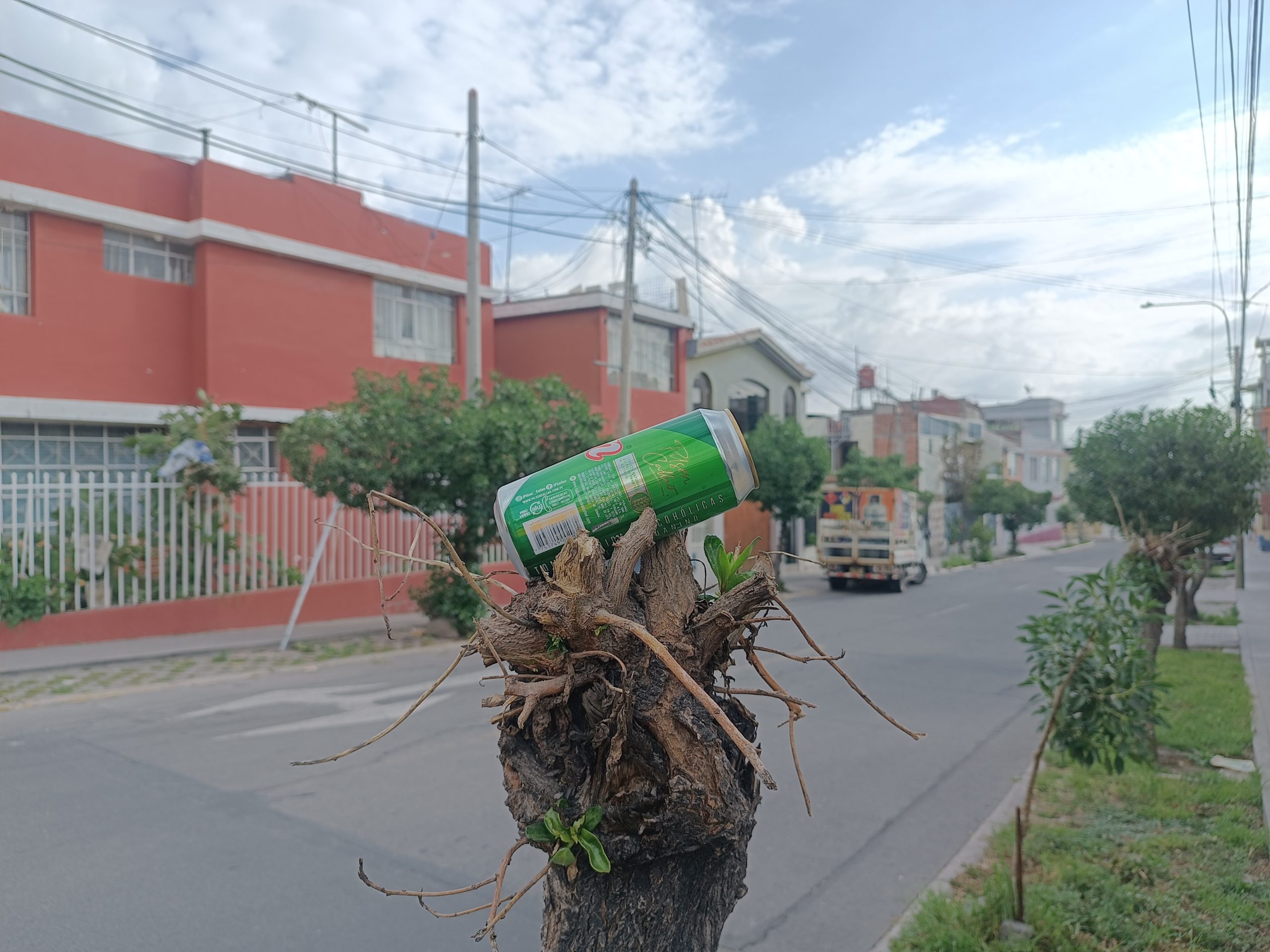 FOTO HOY DOMINGO 08 DE MARZO