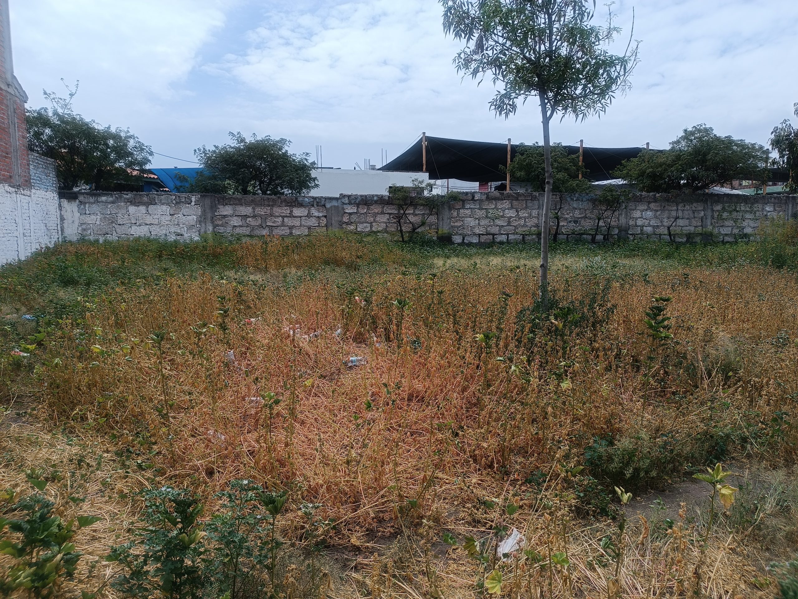 FOTO DE HOY MIERCOLES 25 DE MARZO