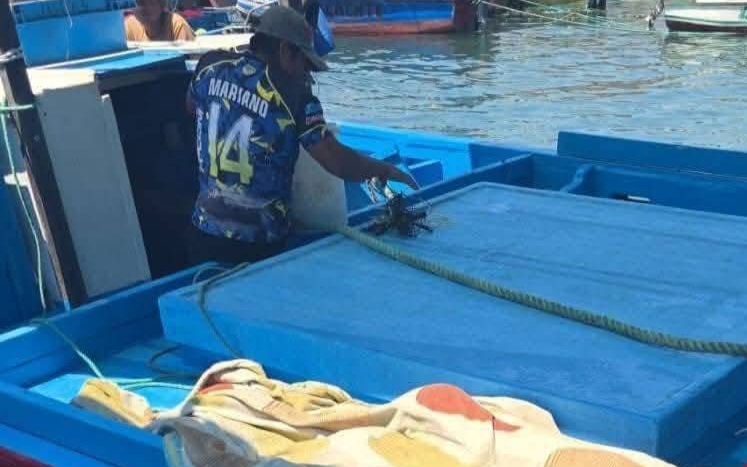 Tragedia : pescador fallece tras naufragio y otro logra sobrevivir