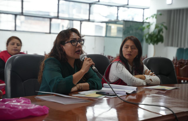 Aprueban plan 2026 para enfrentar la violencia contra la mujer y familia