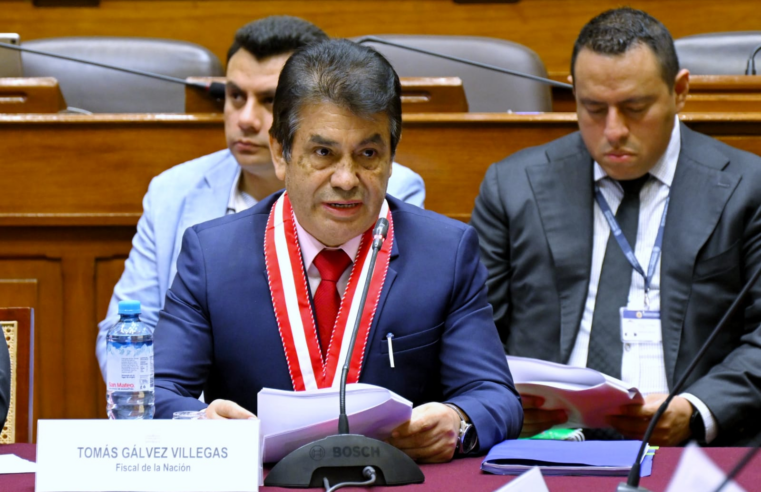 Gálvez: “el congreso comete errores al legislar, pero no son leyes procrimen”