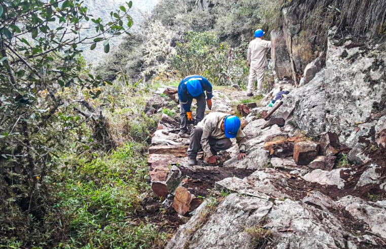 Red de Caminos Inca hacia Machu Picchu reabrió y recibió a visitantes de siete países