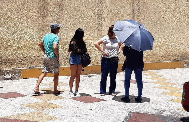 Helados de vino, pisco sour y licor de damasco se vuelven sensación