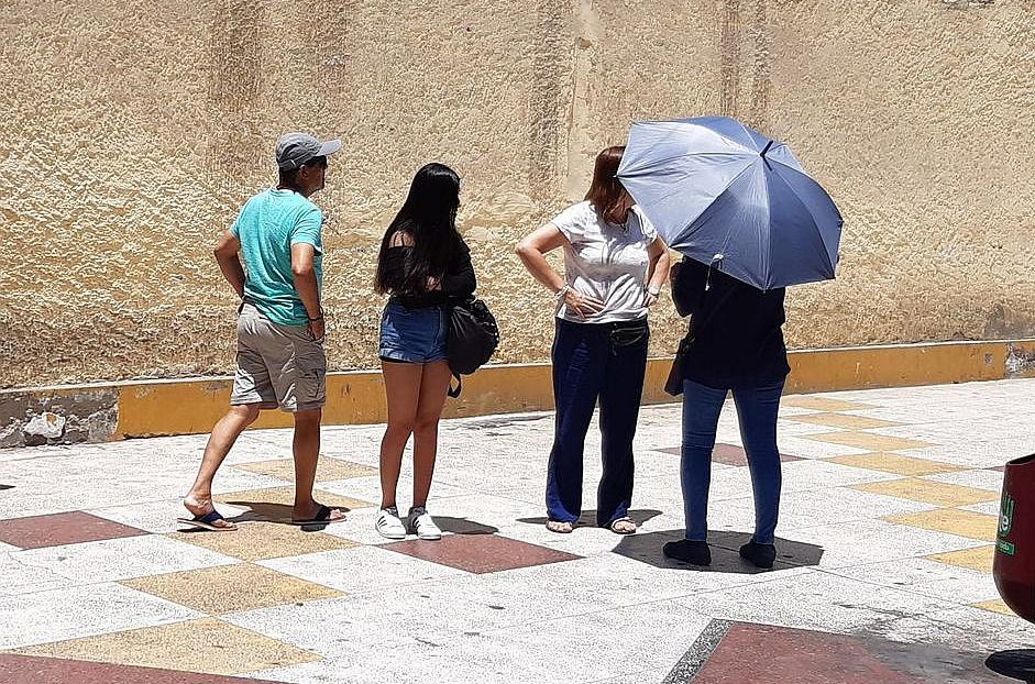 Helados de vino, pisco sour y licor de damasco se vuelven sensación