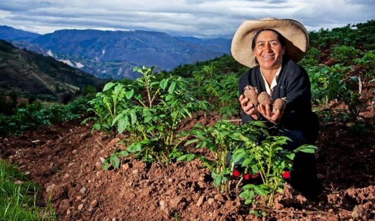 Casi un millón de mujeres sostienen la producción agraria y seguridad alimentaria