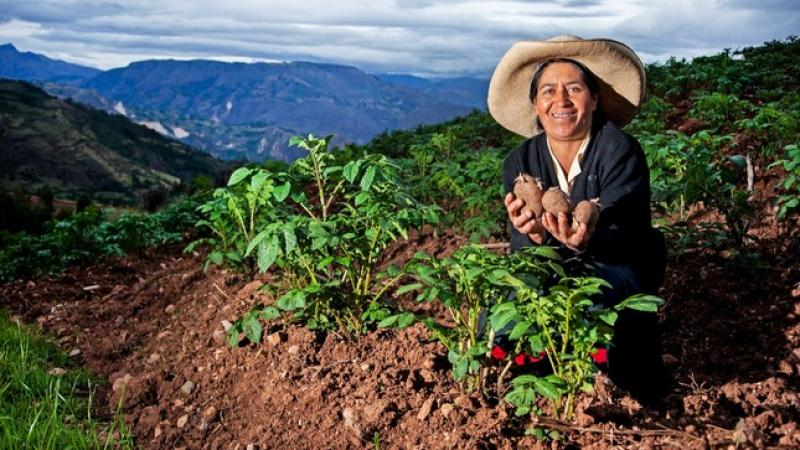 Casi un millón de mujeres sostienen la producción agraria y seguridad alimentaria