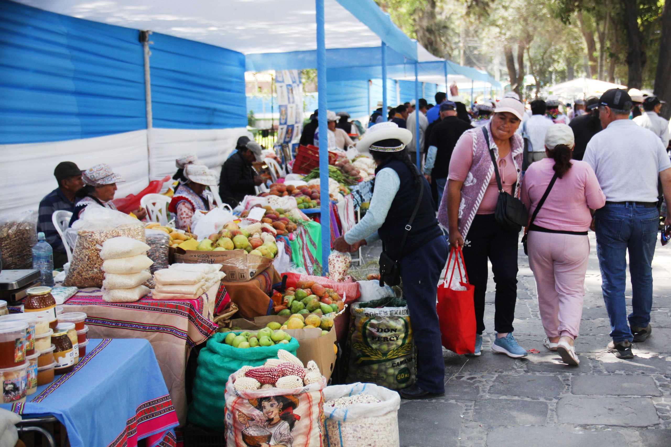 El Valle del Colca rinde tributo a su identidad en el corazón de Arequipa