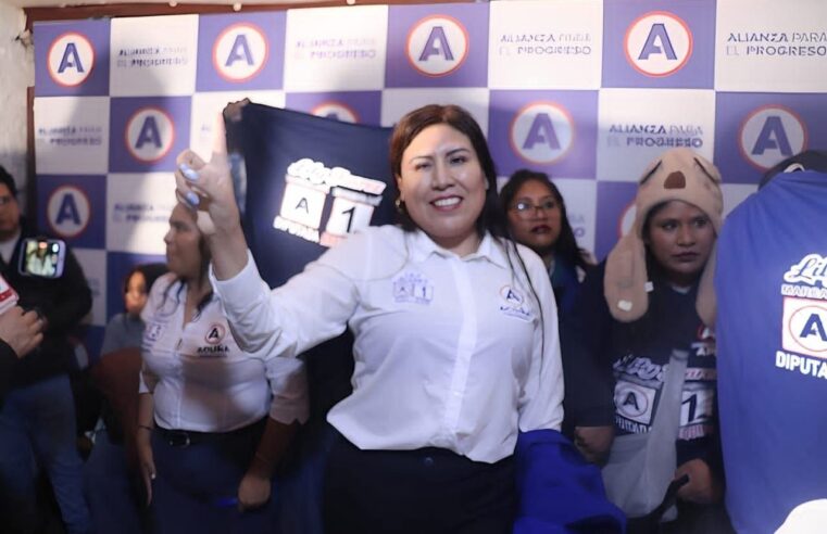 Seguridad ciudadana, prevención y reinicio de obras de envergadura: Lily Juárez