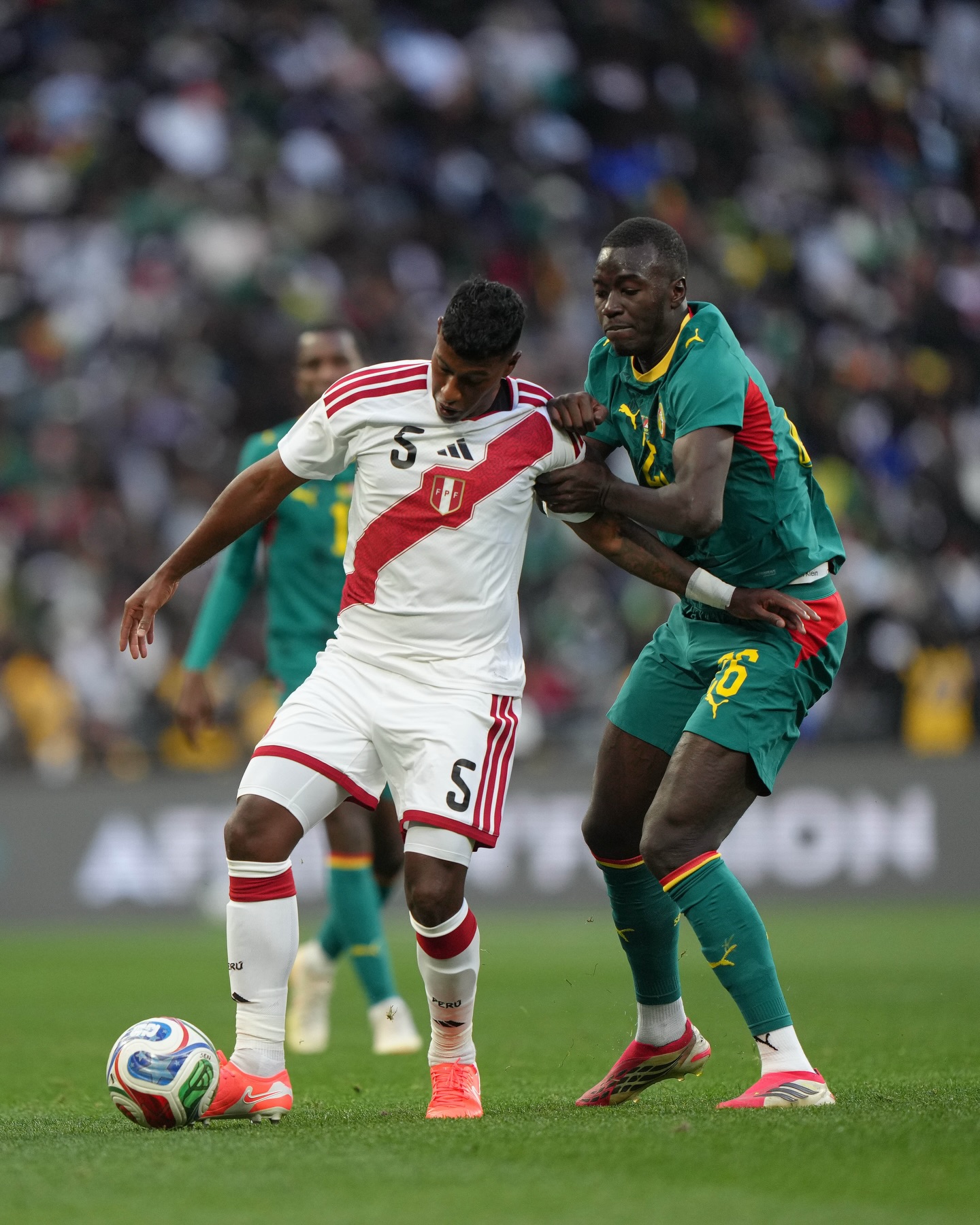 Araujo: «Con lo que dimos en Europa no alcanza»