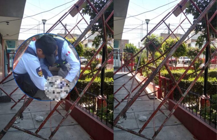 En Miraflores pintor muere tras caer de un cuarto piso