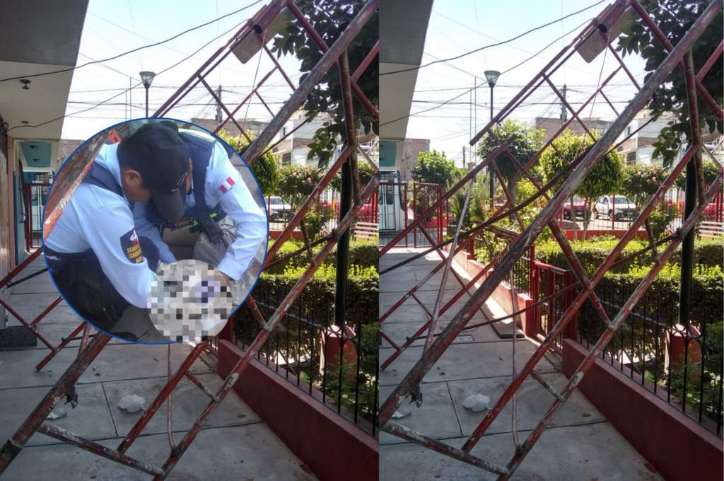 En Miraflores pintor muere tras caer de un cuarto piso