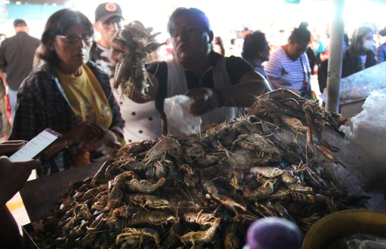 Inician venta de camarón con precios de hasta S/ 130 por kilo