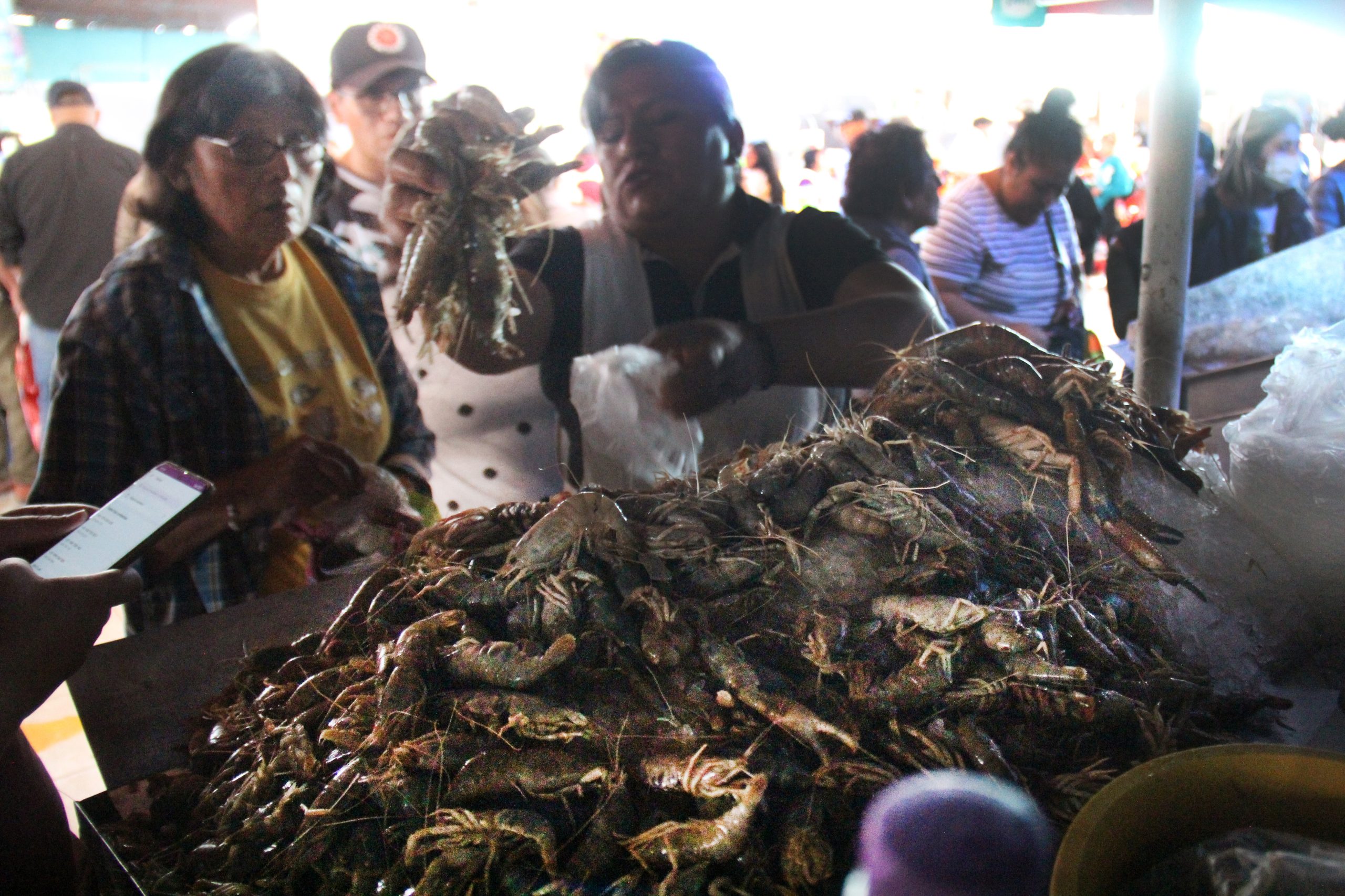 Inician venta de camarón con precios de hasta S/ 130 por kilo
